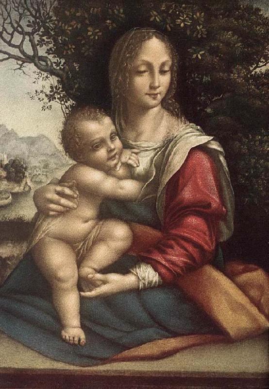 Cesare da Sesto Madonna and Child